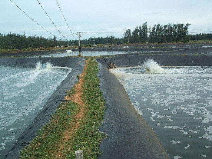 铭昊土工膜 铭昊土工膜